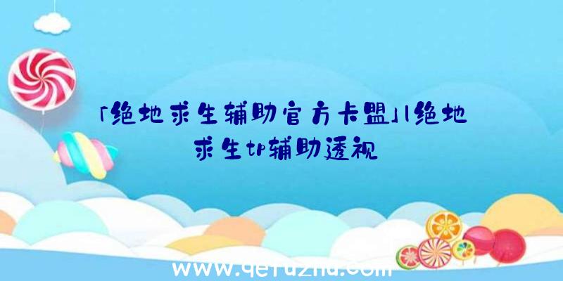 「绝地求生辅助官方卡盟」|绝地求生tp辅助透视